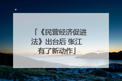 《民营经济促进法》出台后 张江有了新动作