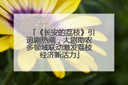 《长安的荔枝》引追剧热潮，大剧助农多领域联动激发荔枝经济新活力