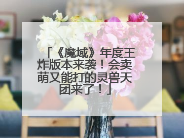 《魔域》年度王炸版本来袭！会卖萌又能打的灵兽天团来了！