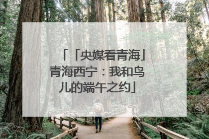 「央媒看青海」青海西宁：我和鸟儿的端午之约