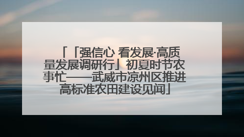 「强信心 看发展·高质量发展调研行」初夏时节农事忙——武威市凉州区推进高标准农田建设见闻