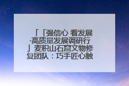 「强信心 看发展·高质量发展调研行」麦积山石窟文物修复团队：巧手匠心触摸“光阴的故事”