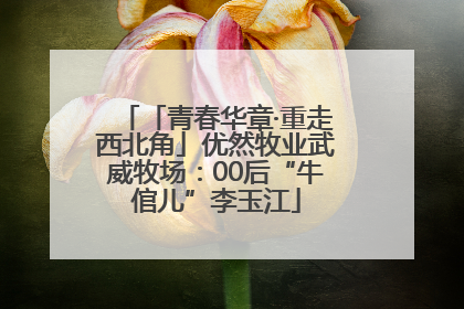 「青春华章·重走西北角」优然牧业武威牧场：00后“牛倌儿”李玉江