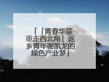「青春华章·重走西北角」返乡青年谢凯龙的绿色产业梦