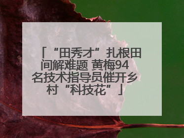 “田秀才”扎根田间解难题 黄梅94名技术指导员催开乡村“科技花”