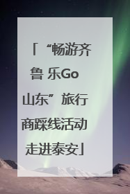 “畅游齐鲁 乐Go山东”旅行商踩线活动走进泰安