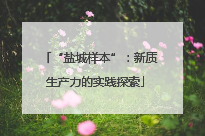 “盐城样本”：新质生产力的实践探索
