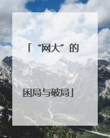 “网大”的困局与破局