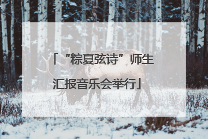 “粽夏弦诗”师生汇报音乐会举行