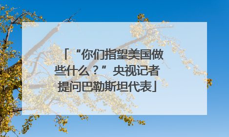 “你们指望美国做些什么？”央视记者提问巴勒斯坦代表