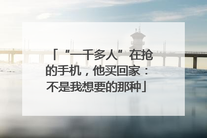 “一千多人”在抢的手机，他买回家：不是我想要的那种