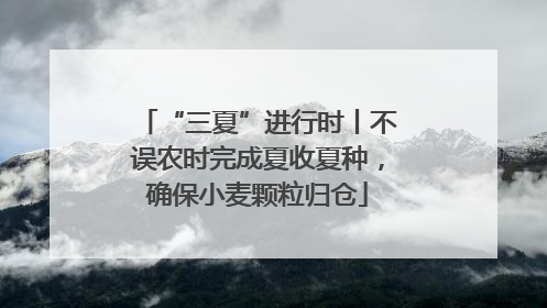 “三夏”进行时丨不误农时完成夏收夏种，确保小麦颗粒归仓