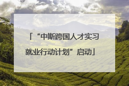 “中斯跨国人才实习就业行动计划”启动