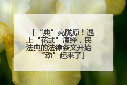 “典”亮陇原！遇上“花式”演绎，民法典的法律条文开始“动”起来了
