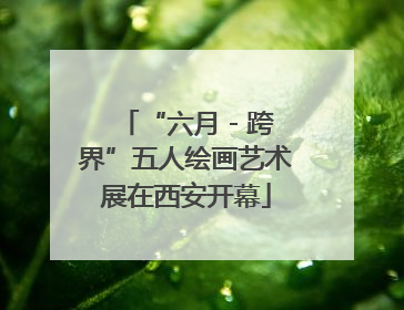 “六月 - 跨界”五人绘画艺术展在西安开幕