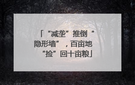 “减垄”推倒“隐形墙”，百亩地“捡”回十亩粮