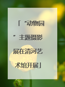“动物园”主题摄影展在清河艺术馆开展