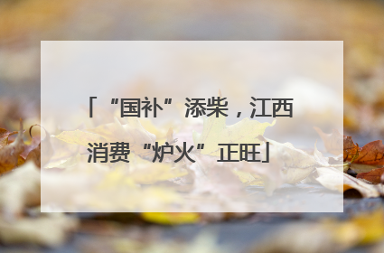 “国补”添柴，江西消费“炉火”正旺