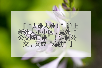 “太难太难！”沪上新建大型小区，竟处“公交断层带”！定制公交，又成“鸡肋”