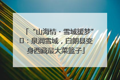 “山海情・雪域援梦”⑪：泉润雪域，白朗县变身西藏最大菜篮子
