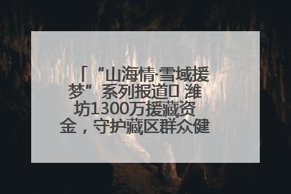 “山海情·雪域援梦”系列报道⑪ 潍坊1300万援藏资金，守护藏区群众健康“最后一公里”