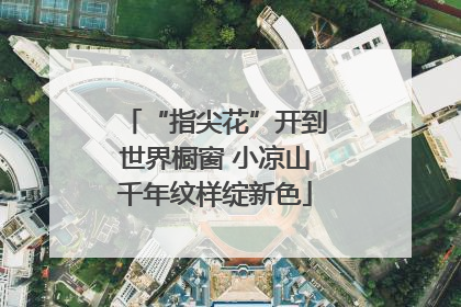 “指尖花”开到世界橱窗 小凉山千年纹样绽新色