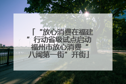 “放心消费在福建”行动省级试点启动 福州市放心消费“八闽第一街”开街