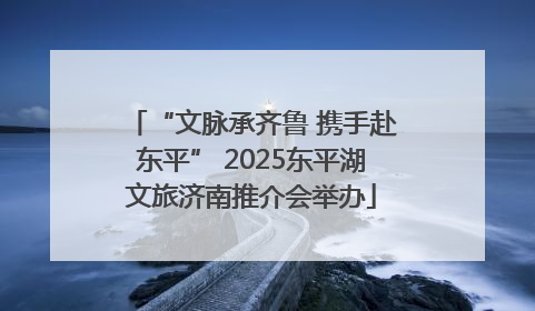“文脉承齐鲁 携手赴东平” 2025东平湖文旅济南推介会举办