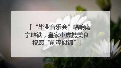 “毕业音乐会”唱响南宁地铁，皇家小虎携美食祝愿“前程似锦”