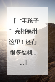 “毛孩子”亮相福州这里！还有很多福利……