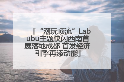 “潮玩顶流”Labubu主题快闪西南首展落地成都 首发经济引擎再添动能