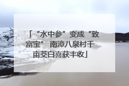 “水中参”变成“致富宝” 南漳八泉村千亩茭白喜获丰收