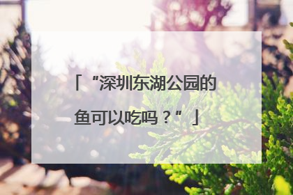 “深圳东湖公园的鱼可以吃吗？”
