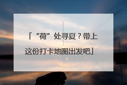 “荷”处寻夏？带上这份打卡地图出发吧
