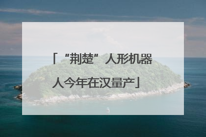 “荆楚”人形机器人今年在汉量产