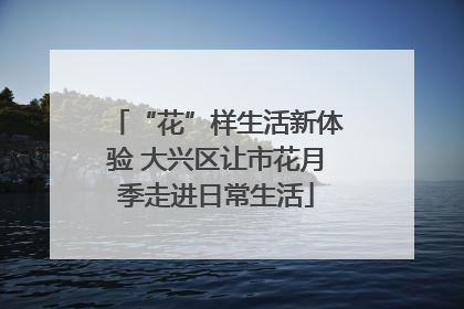 “花”样生活新体验 大兴区让市花月季走进日常生活