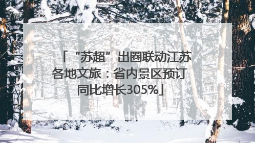 “苏超”出圈联动江苏各地文旅：省内景区预订同比增长305%
