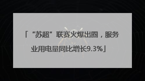 “苏超”联赛火爆出圈，服务业用电量同比增长9.3%