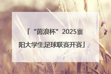“茵浪杯”2025襄阳大学生足球联赛开赛