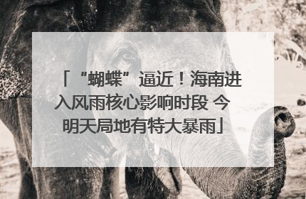 “蝴蝶”逼近！海南进入风雨核心影响时段 今明天局地有特大暴雨