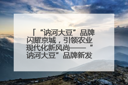 “讷河大豆”品牌闪耀京城，引领农业现代化新风尚——“讷河大豆”品牌新发地推介会圆满落幕
