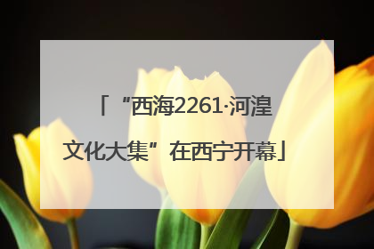 “西海2261·河湟文化大集”在西宁开幕