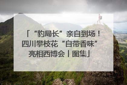 “豹局长”亲自到场！四川攀枝花“自带香味”亮相西博会丨图集