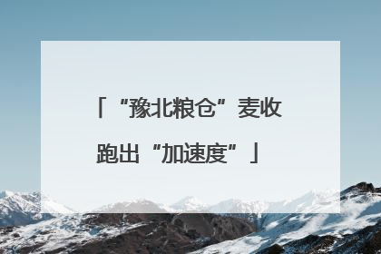 “豫北粮仓”麦收跑出“加速度”