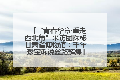 “青春华章·重走西北角”采访团探秘甘肃省博物馆：千年珍宝诉说丝路辉煌