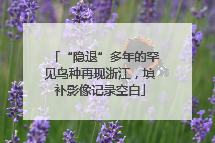 “隐退”多年的罕见鸟种再现浙江，填补影像记录空白