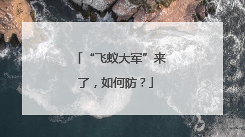 “飞蚁大军”来了，如何防？
