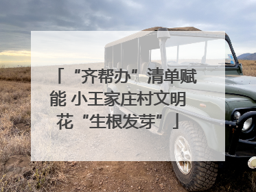 “齐帮办”清单赋能 小王家庄村文明花“生根发芽”