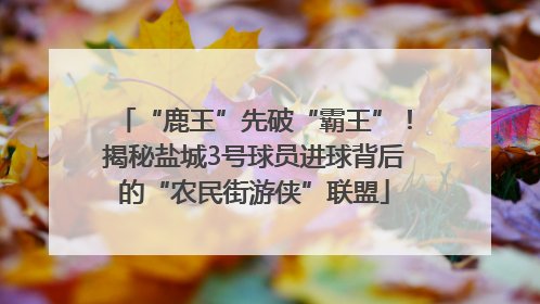 “鹿王”先破“霸王”！揭秘盐城3号球员进球背后的“农民街游侠”联盟