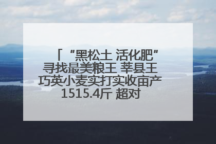 “黑松土 活化肥”寻找最美粮王 莘县王巧英小麦实打实收亩产1515.4斤 超对照田144斤！